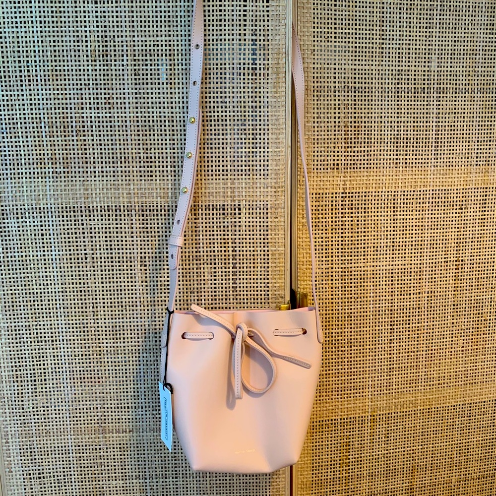 Mansur Gavriel mini mini bucket bag (matte blush)